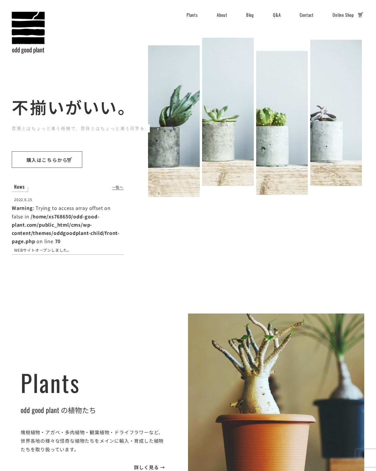 odd good plant PCデザイン