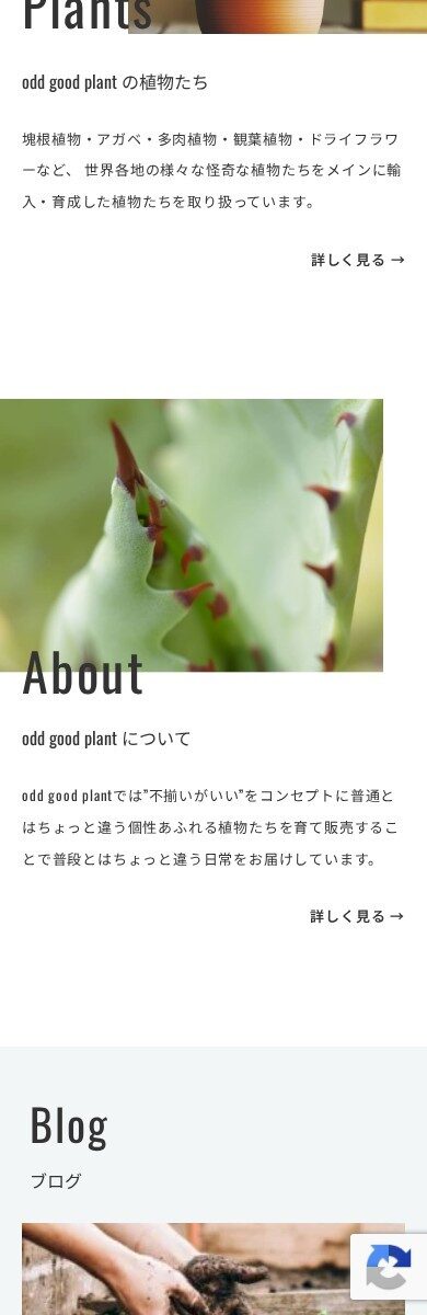 odd good plant SPデザイン2