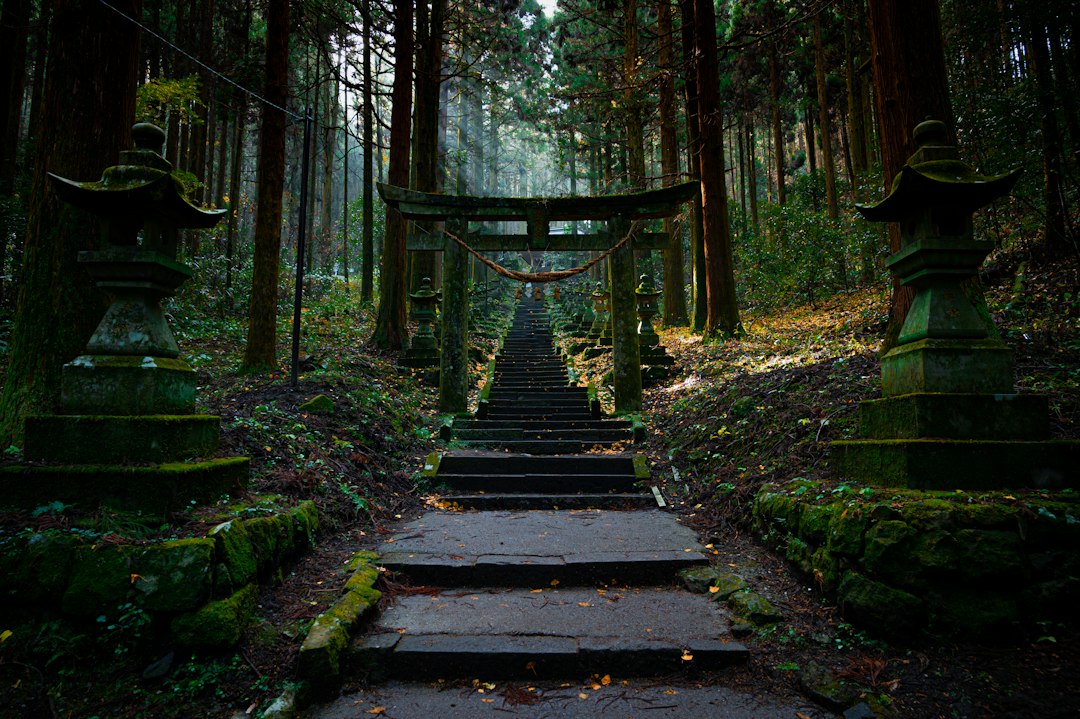 Stone stairs leading to a torii gate in a mossy forest in Japan