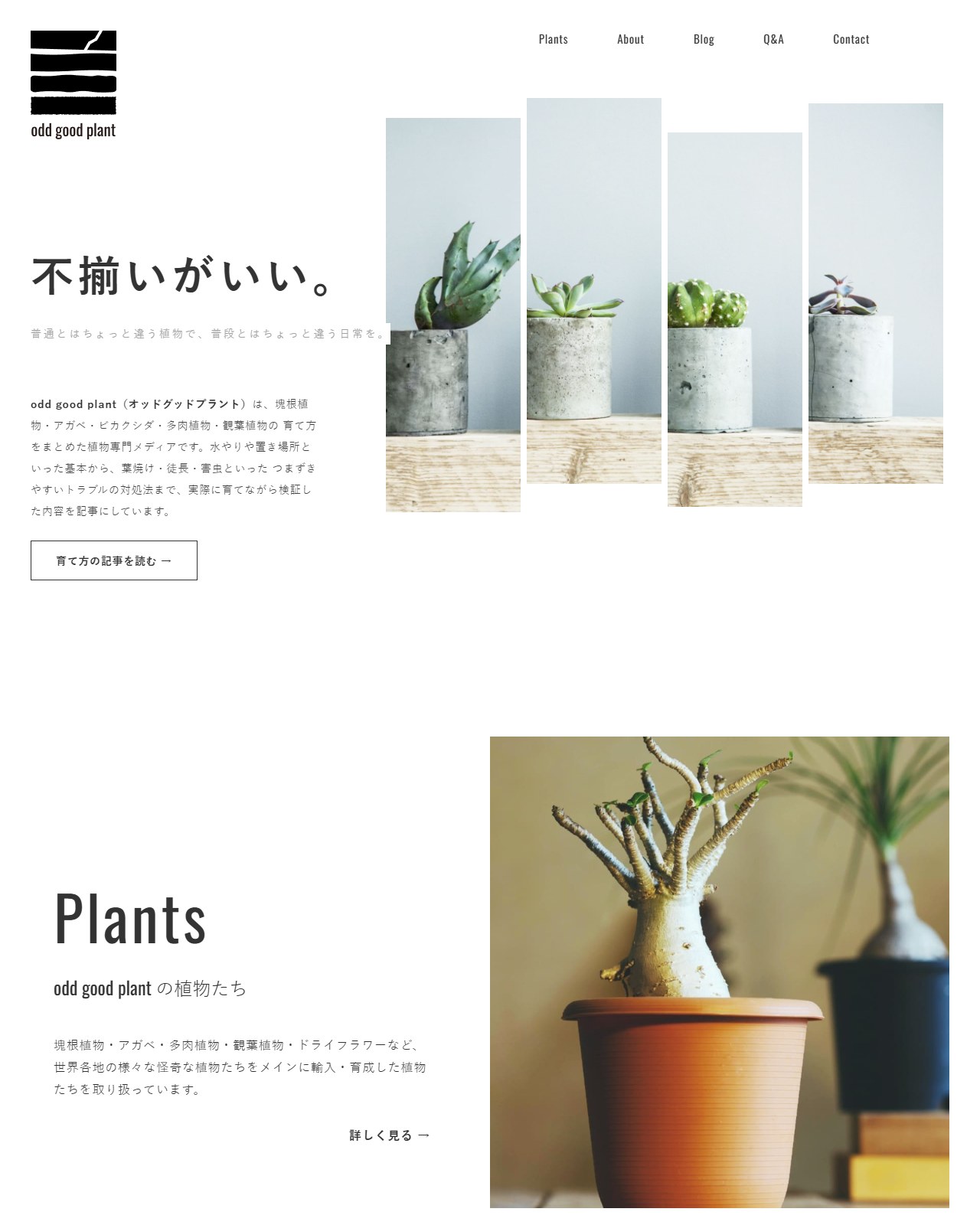 odd good plant PCデザイン